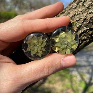 Real Succulent gauges plugs 1” 25mm